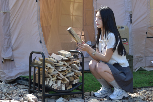 DSC_0807(1) Firewood Rack